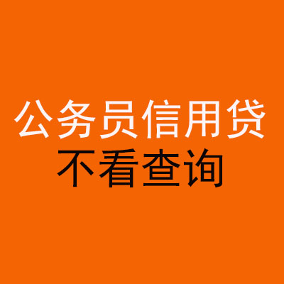 定城镇公务员信用贷款